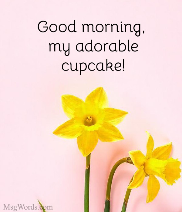 Good morning, my adorable cupcake! written on a floral background.
