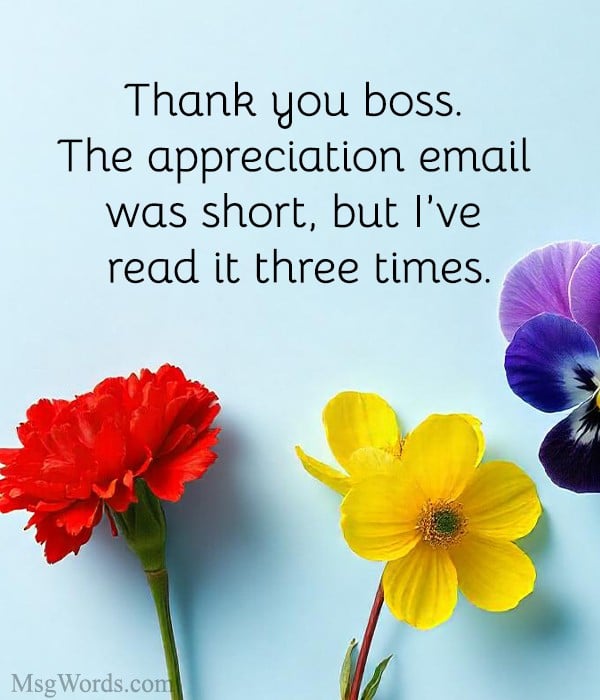 Thank you boss. The appreciation email was short, but I’ve read it three times.
