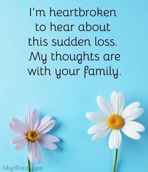Comforting imagery reflecting sudden death condolence messages for family member in a moment of deep sorrow.
