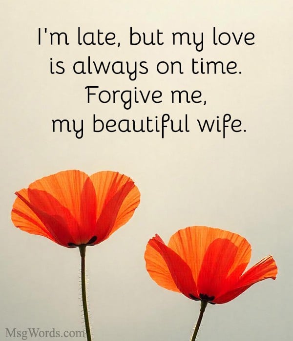 Romantic belated wedding anniversary wishes for wife from husband with heartfelt love.