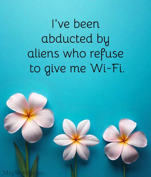 creative and funny out-of-office messages with a lively style.