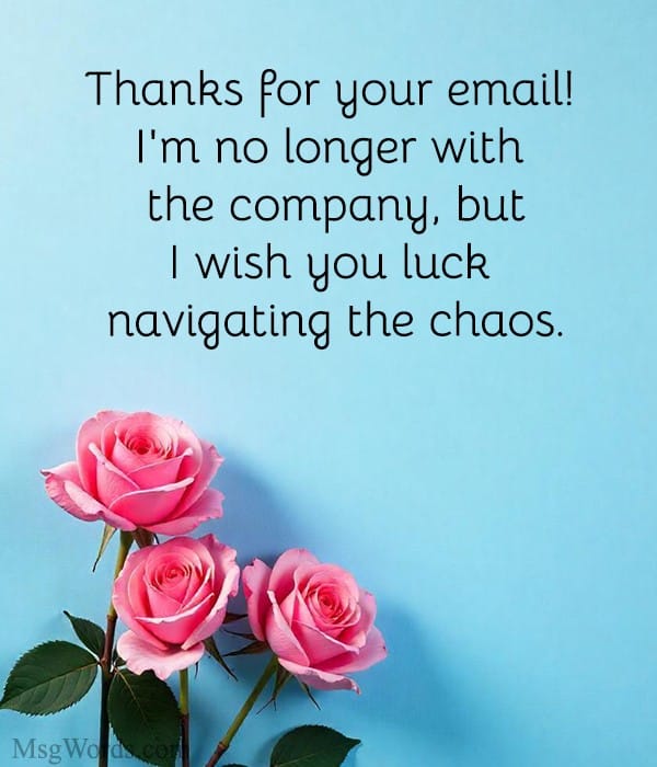 Playful fun out-of-office messages when leaving the company with a cheerful farewell tone.