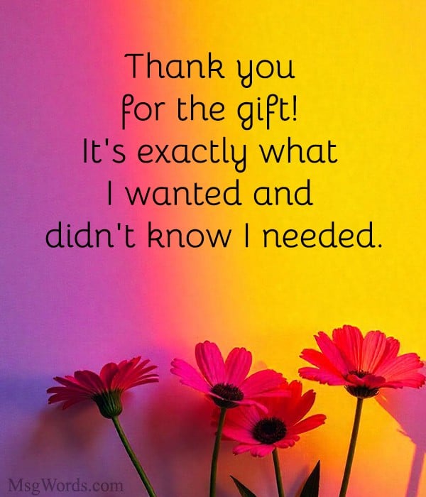 Thank you for the gift! It's exactly what I wanted and didn't know I needed.