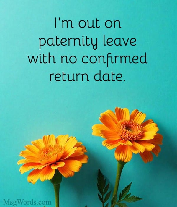 paternity leave out-of-office messages without return date in a polite style.