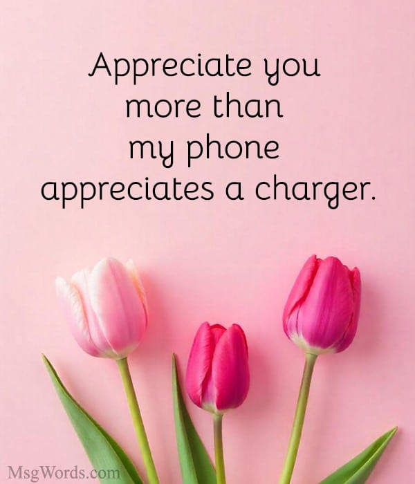 Appreciate you more than my phone appreciates a charger.