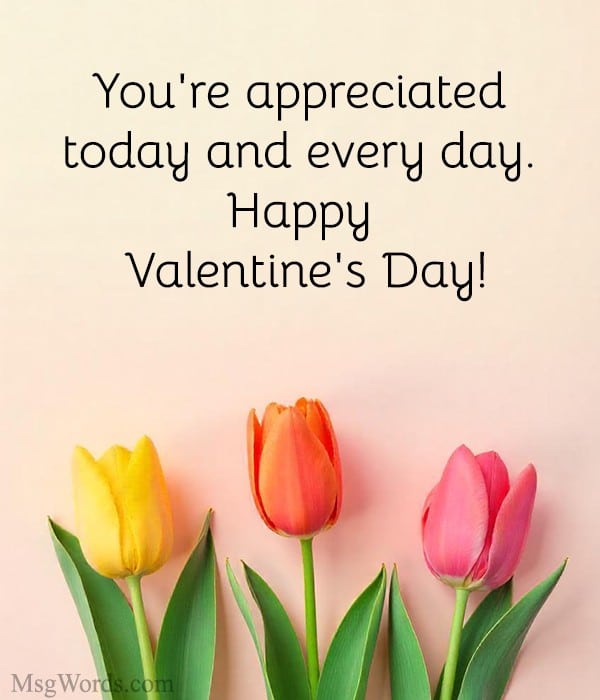 You're appreciated today and every day. Happy Valentine's Day!