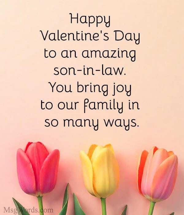 A warm family moment expressing Sincere Valentine Messages for Son-in-Law, celebrating love.