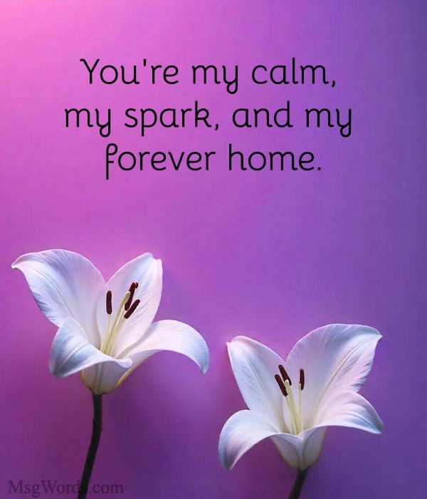 You're my calm, my spark, and my forever home.