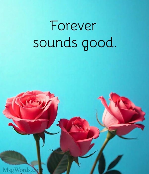 Modern letter board image featuring quick Valentines letter board quotes for busy hearts.