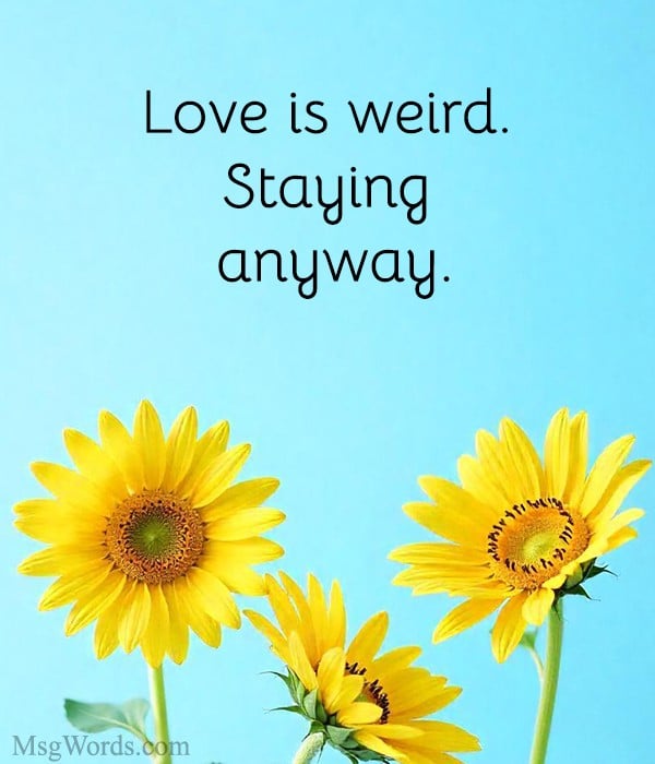 Valentine's February letter board quotes for the season.