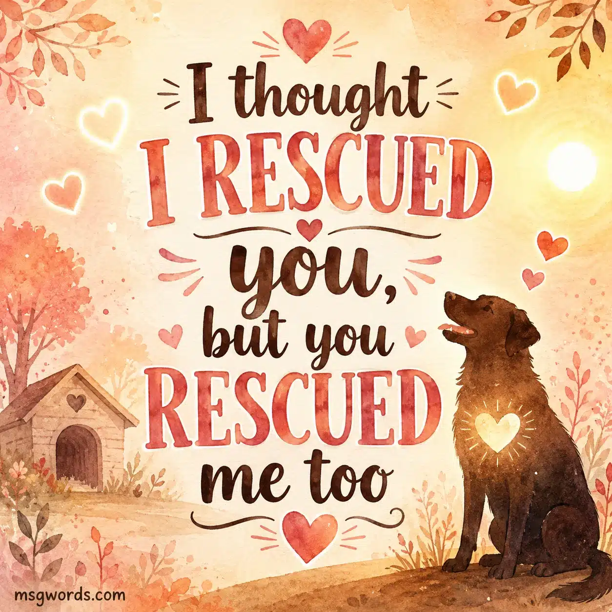 I thought I rescued you, but you rescued me too
